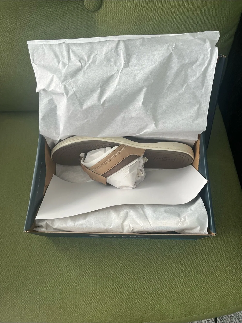 Sperry Dark Blue Branded Shoe Box with Logo